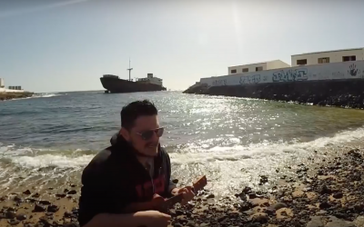Toro en Lanzarote